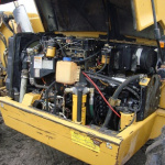 cat3.JPG